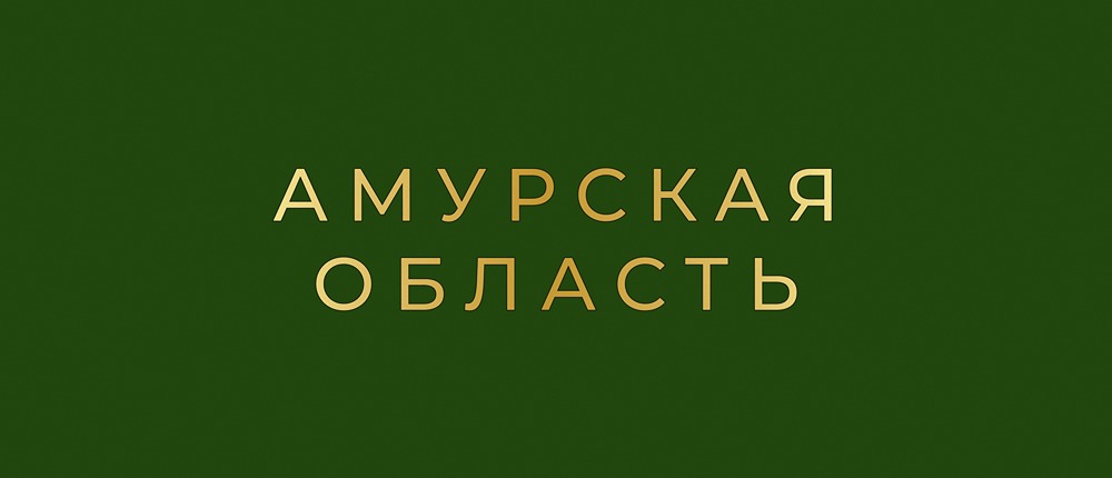 Облигации Амурской области 31002: подробный анализ и перспективы