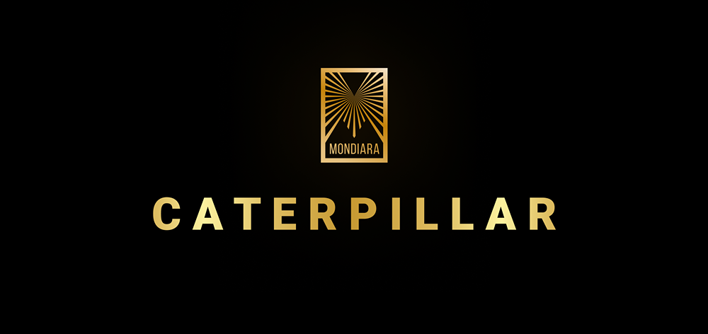 Caterpillar приобрела австралийского разработчика ПО для горнодобычи RPMGlobal