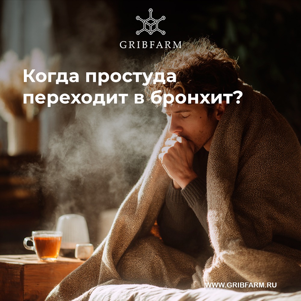 Как избегать осложнений при простуде и не допустить перехода в бронхит?