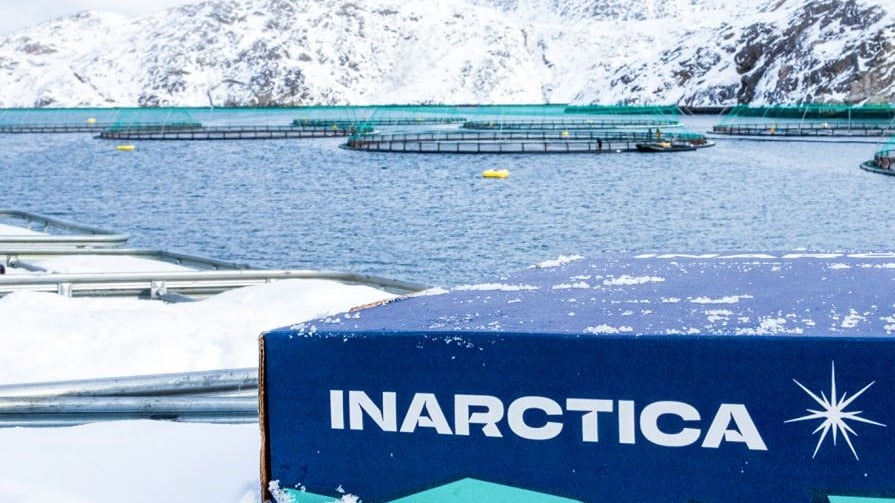 Какие итоги оперативного отчета Инарктики по МСФО за 1 полугодие 2025?