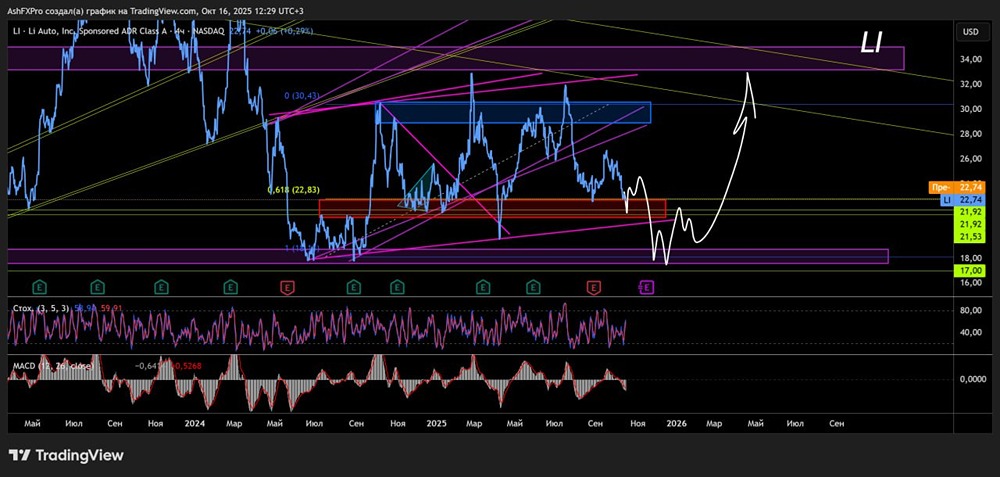 Когда акции Li Auto вырастут в цене? Стоит ли ждать этого в 2025 году?