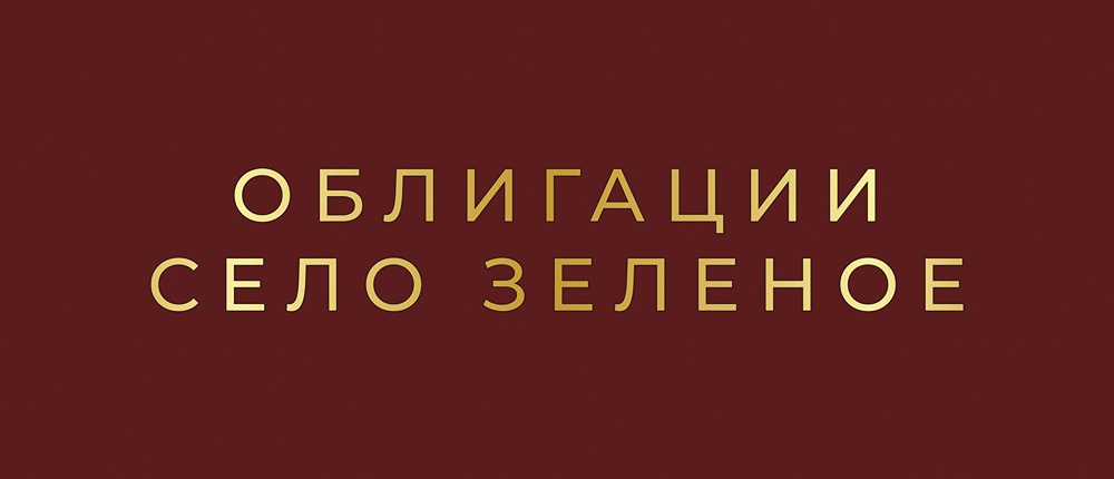 Стоит ли вкладывать в облигации «Село Зелёное Холдинг» в 2025 году?