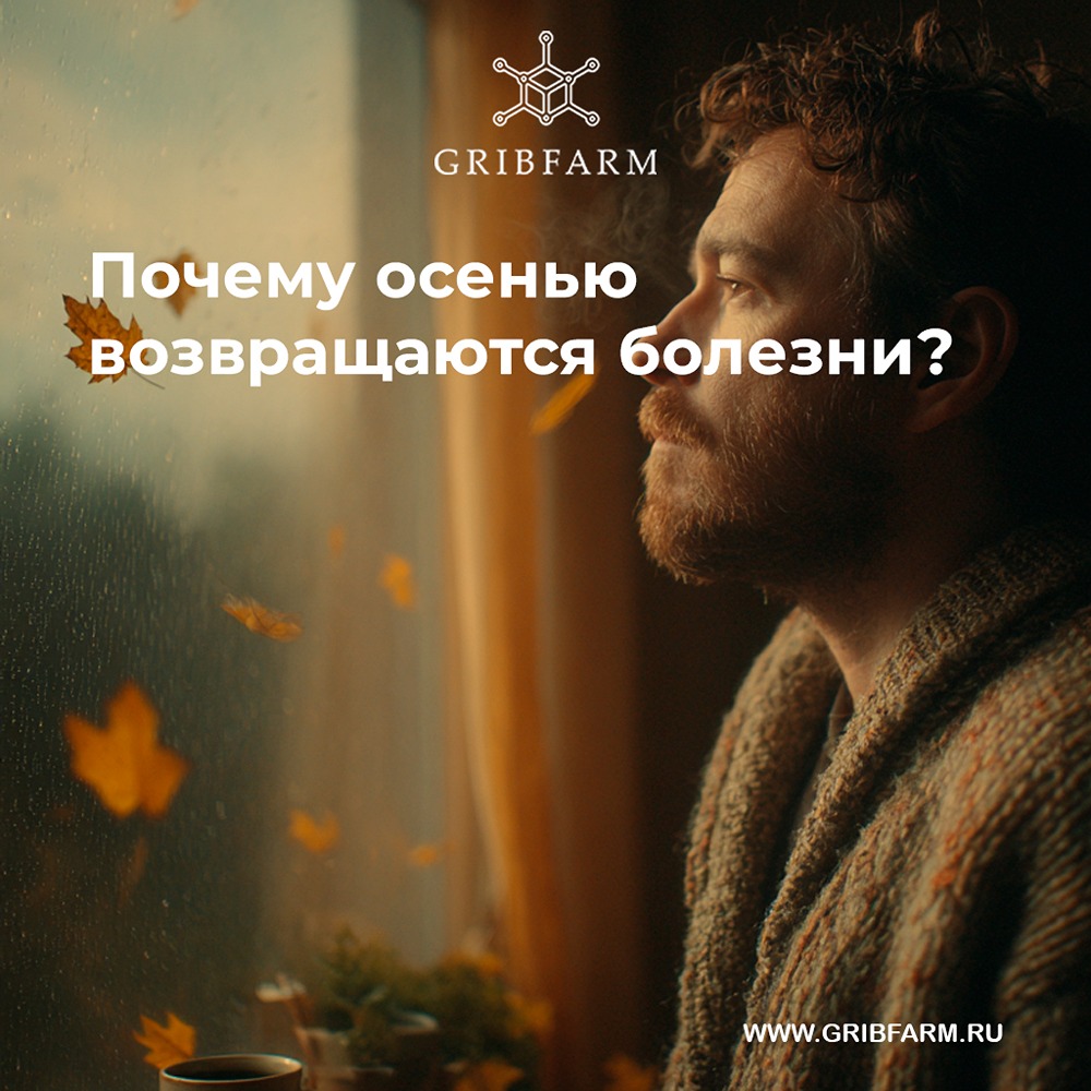 Почему осенью обостряются хронические болезни: главные причины?