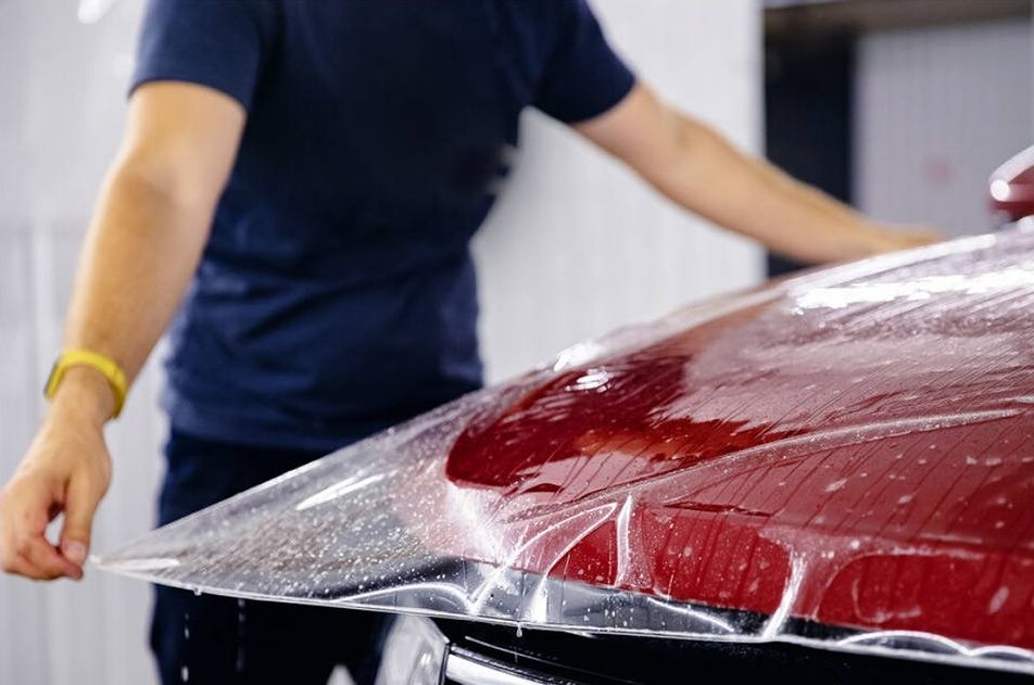 Почему птицы предпочитают темные автомобили?