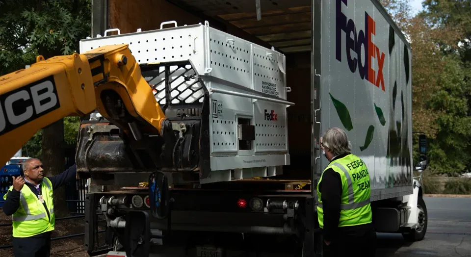 Новости по компании FEDEX CORPORATION