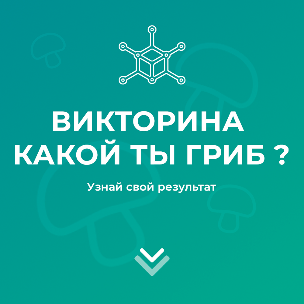 Как узнать, какой гриб тебе подходит?
