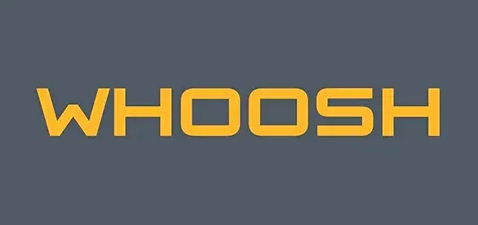 ВУШ Холдинг без дивидендов в 2025: чем объяснят решение?