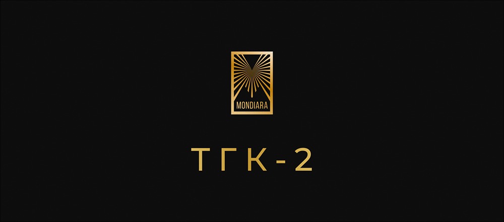 Что грозит ТГК‑2 по итогам антимонопольного разбирательства?