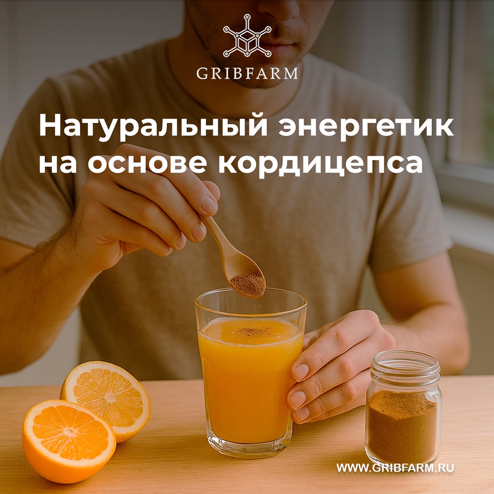 Как приготовить бодрящий напиток с кордицепсом дома?