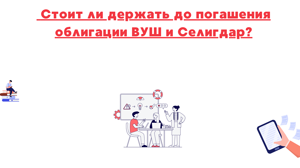 Почему ВУШ считается рискованнее Селигдара для инвесторов?