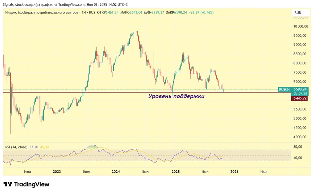 Потребительский сектор 2025: какие акции выглядят перспективно?