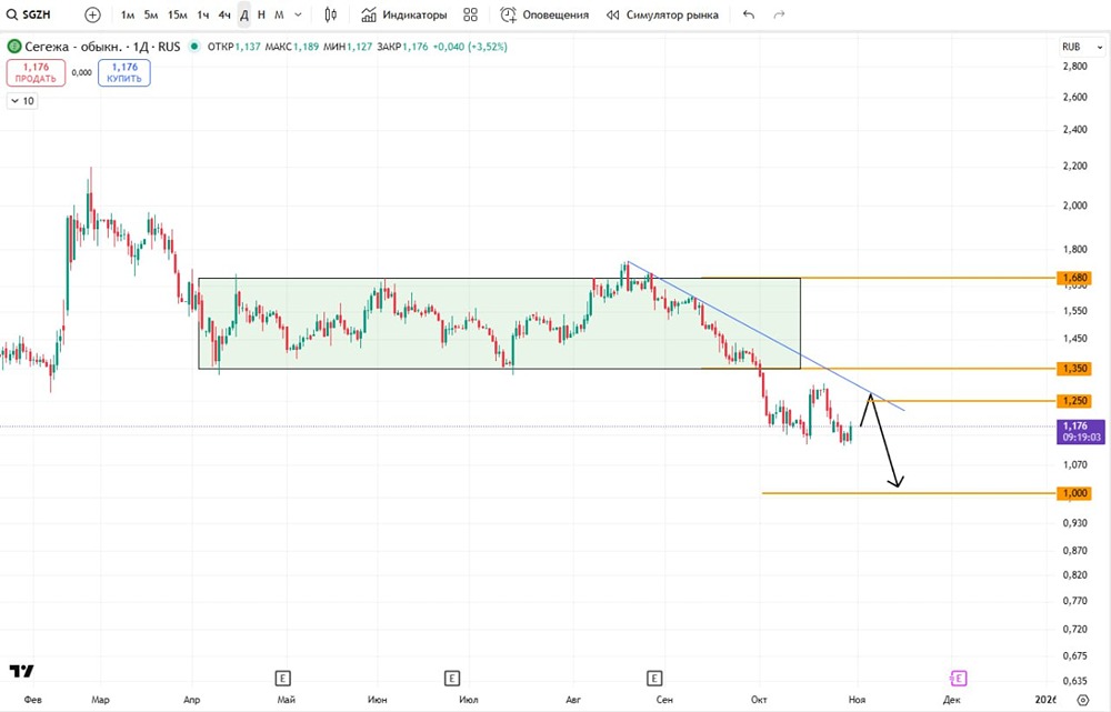 Стоит ли шортить акции Сегежи: прогноз на 2025 год?