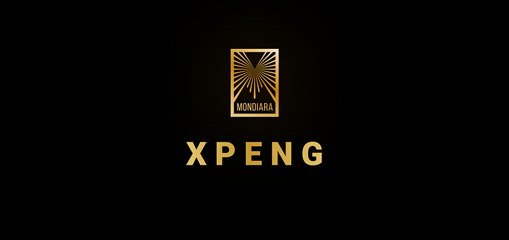 Когда XPeng опубликует финансовые результаты за III квартал 2025?

