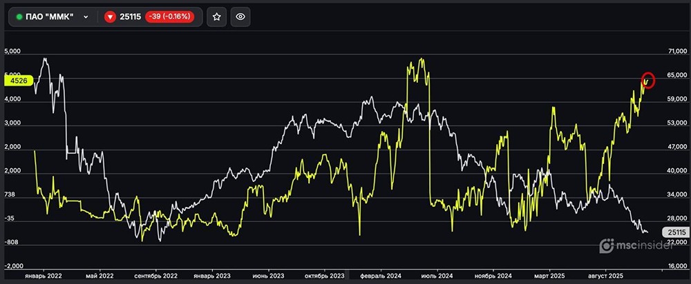 Стоит ли следовать за частными инвесторами в позиции по ММК?