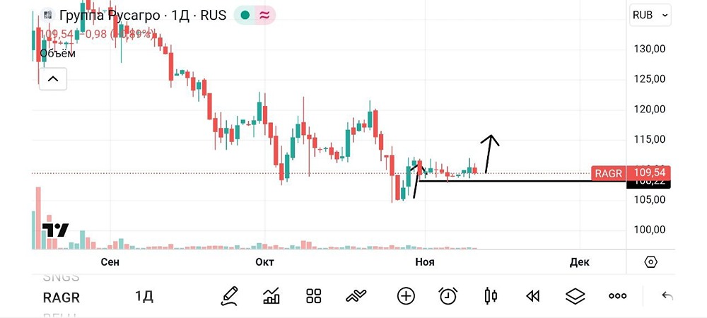 Готов ли рынок к отскоку акций Русагро после коррекции?