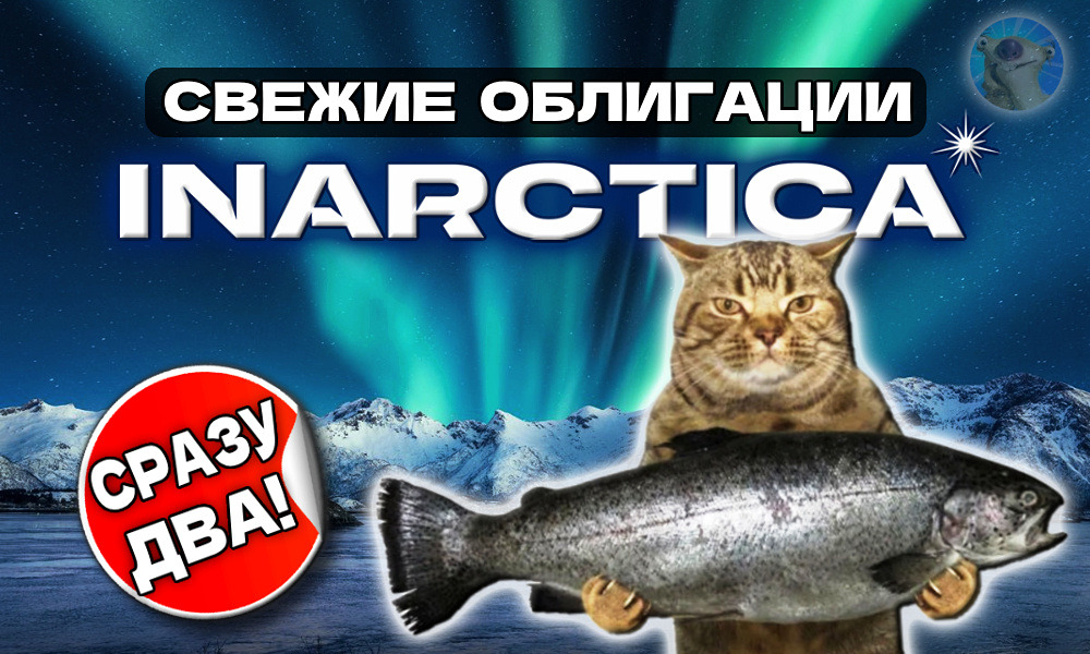 Стоит ли инвестировать в новые облигации Инарктики с купоном 18%?