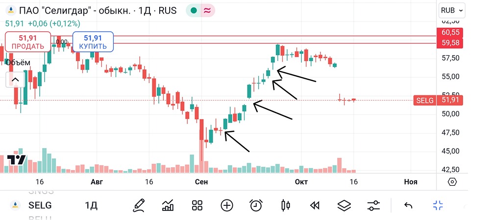 Селигдар. #SELG