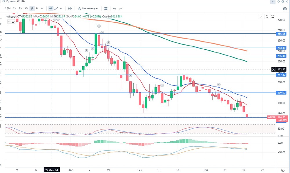 ПАО «Вуш Холдинг»