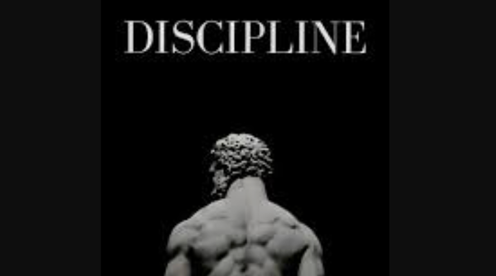 Как дисциплина помогает в долгосрочных инвестициях?