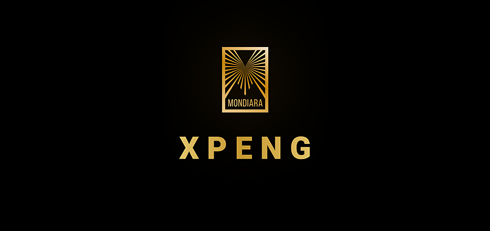 На сколько процентов выросла выручка XPeng в третьем квартале 2025 года?

