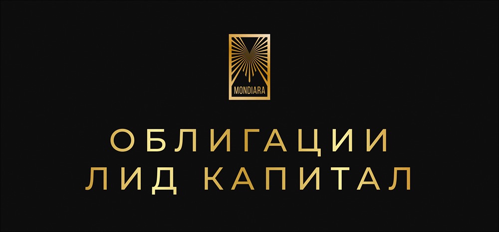 Стоит ли инвестировать в новый выпуск облигаций «Лид Капитал»?