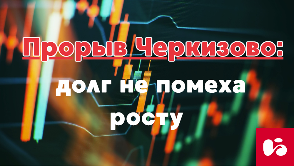 Стоит ли ждать дивидендов от Черкизово в 2025 году после крепкого отчета?