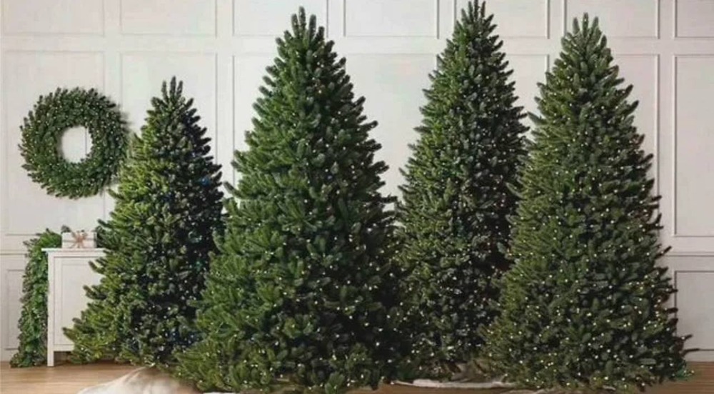 Почему россияне арендуют ёлки к Новому году вместо покупки?

