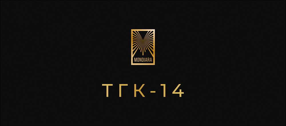 Что привело к понижению рейтинга ТГК-14?