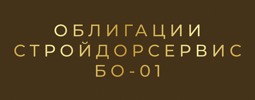 Стоит ли инвестировать в облигации СтройДорСервис с доходностью 20,5%?
