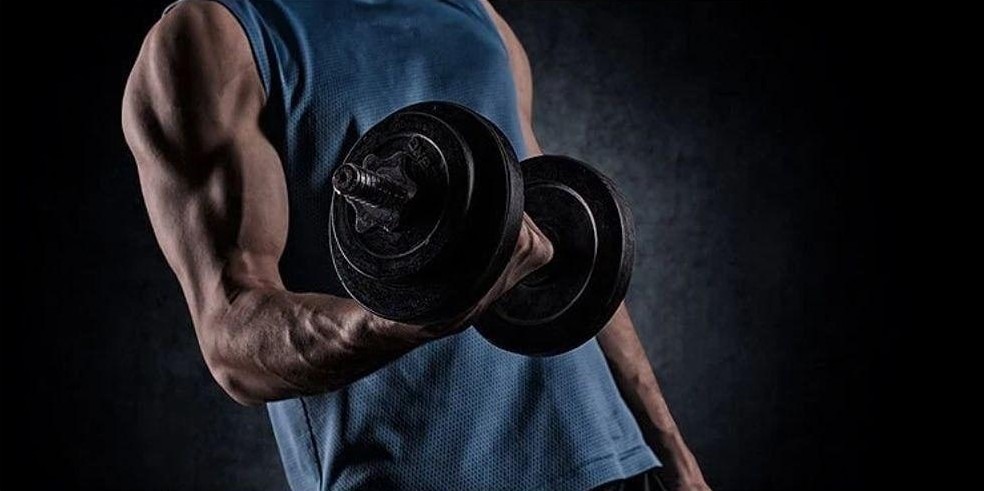 Как тренировки влияют на память и работу мозга: научные доказательства?

