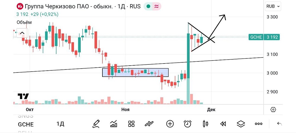 Готовы ли акции Черкизово к дальнейшему росту?