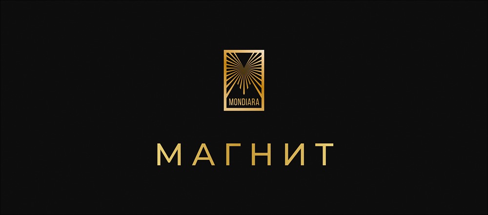 Зачем "Магнит" внедряет биометрию на кассах?