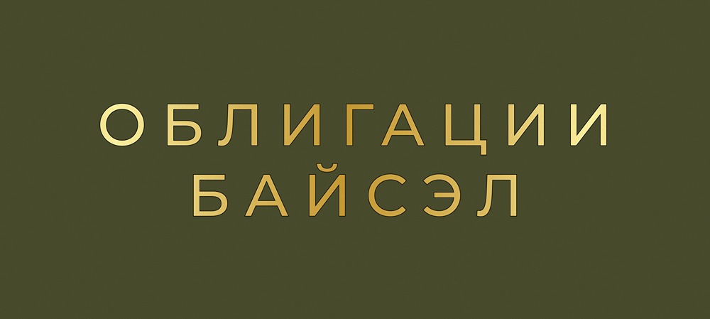 Стоит ли инвестировать в облигацию Байсэл с доходностью 25,25%?