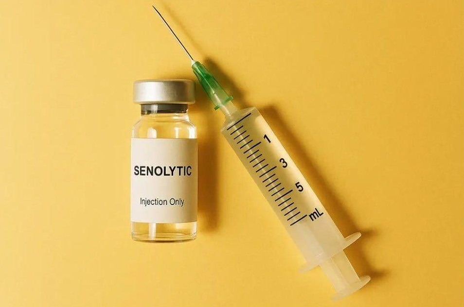 Может ли вакцина SenoVax от Immorta Bio обратить старение — что говорят учёные?
