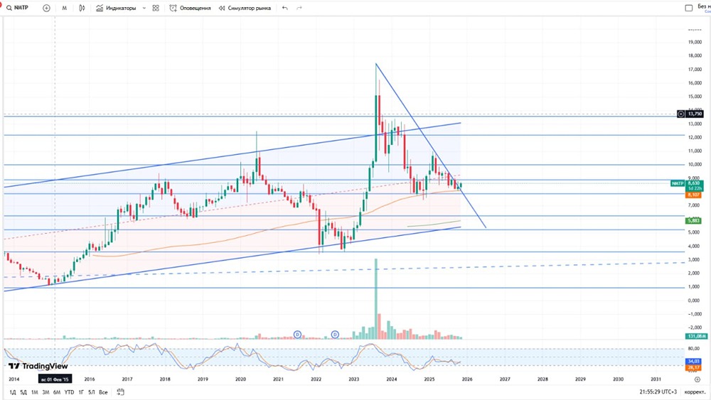 Дивидендная привлекательность  акций НМТП: что говорят цифры?
