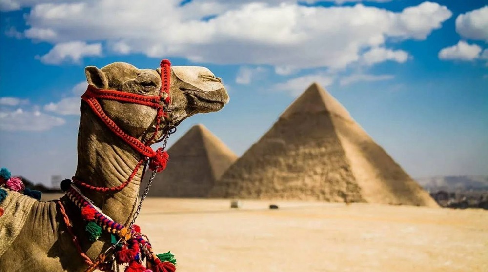 Почему виза в Египет подорожала почти в два раза — новые сборы $45 с декабря 2025?
