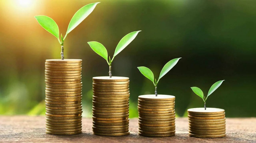 Сколько процентов по вкладам заработают россияне в 2025 году?
