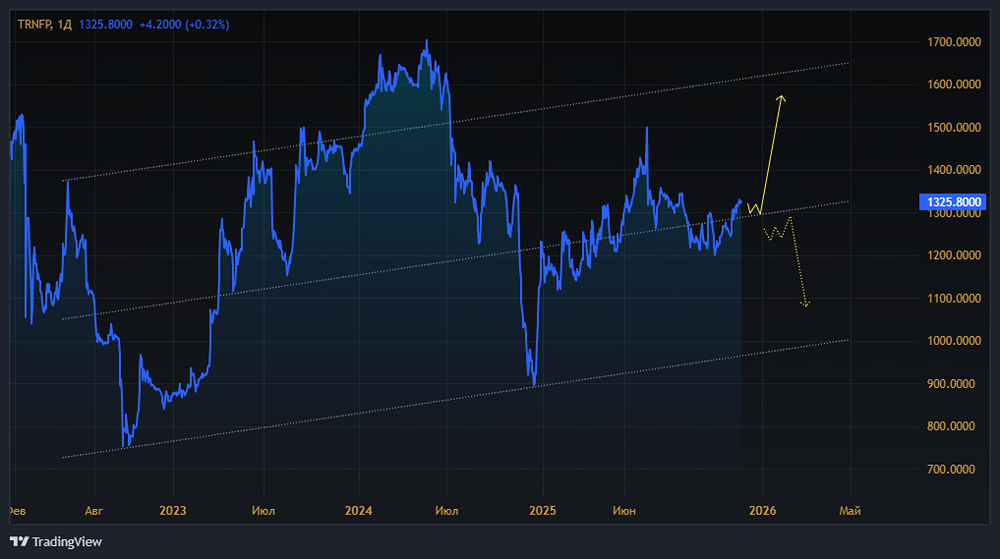Почему Транснефть остаётся стабильной дивидендной историей?