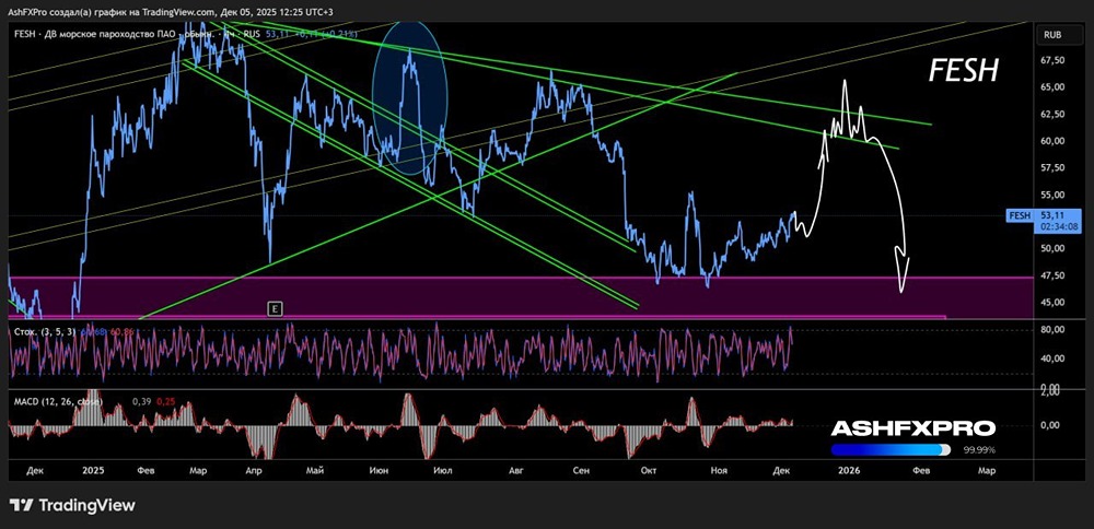 Продолжится ли рост акций ДВМП до конца 2025 года?