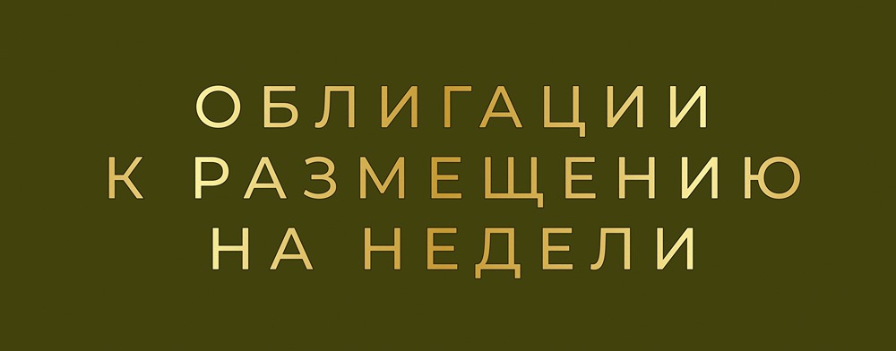 Новые эмитенты декабря: обзор ключевых размещений