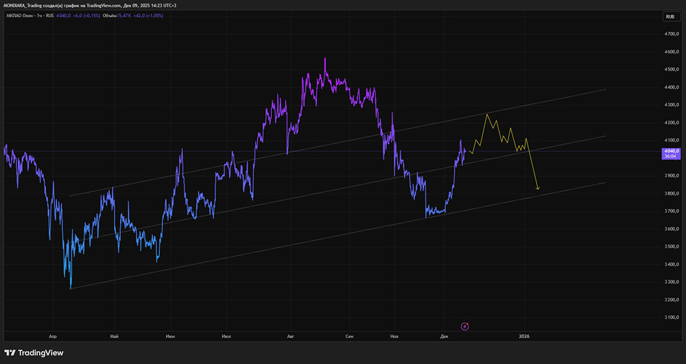 Справедливая цена акций OZON: 4200₽ или выше?