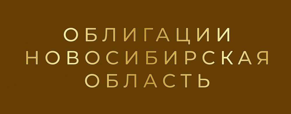 Стоит ли инвестировать в облигации Новосибирской области серии: 34028?
