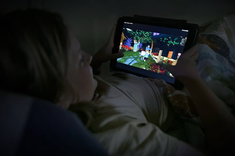 Блокировка Roblox: почему родители требуют защитить детей в сети?
