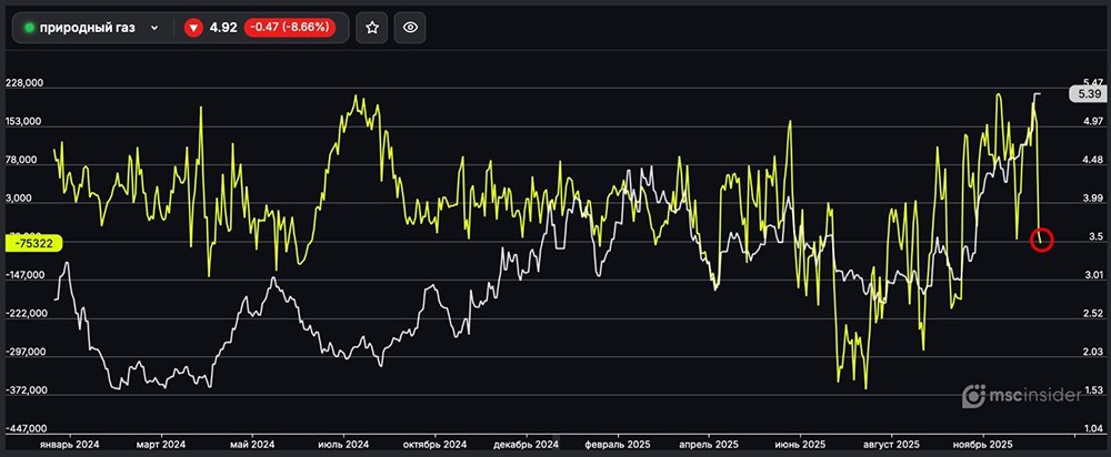 Почему юридические лица массово открывают шорты на газ: анализ тренда