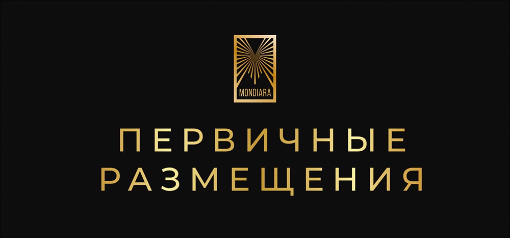Как работает первичное размещение облигаций: пошаговое руководство