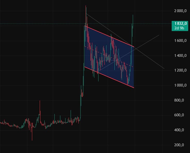 Акции ЭсЭфАй: инвестиционный потенциал и риски