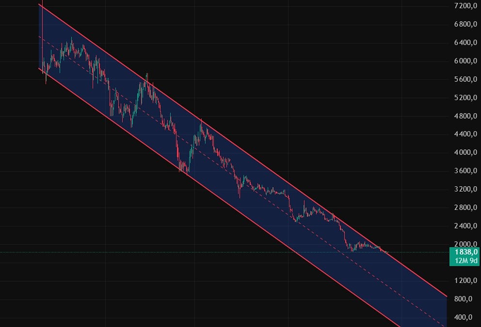 Фундаментальные перспективы акций Диасофт: стоит ли покупать акции сейчас?