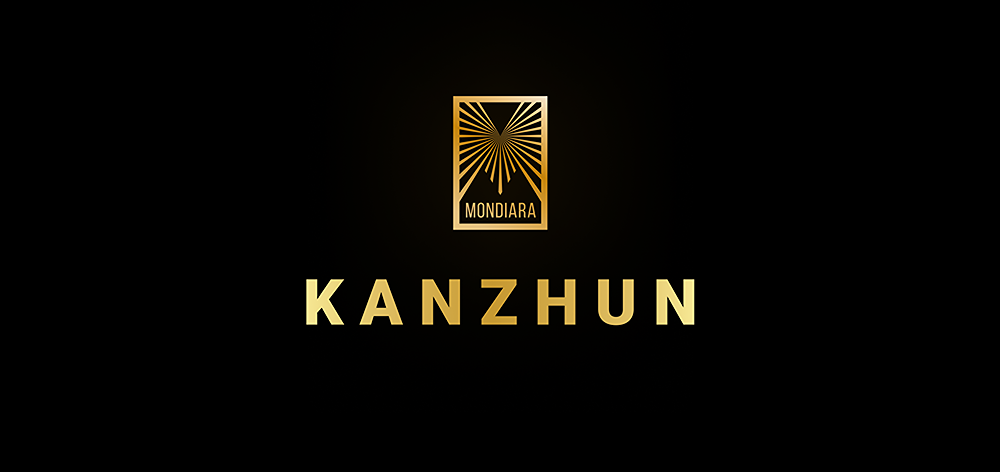 Почему Фил Ю Чжан покинул посты CEO и CFO Kanzhun — что ждёт компанию в 2025?
