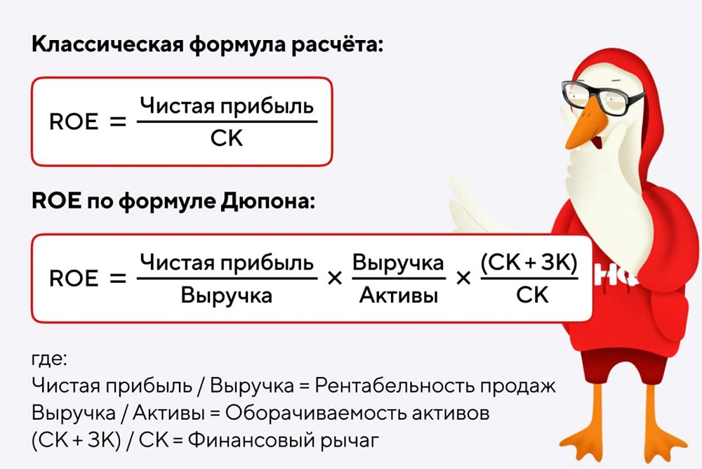 Что такое ROE и как его рассчитать для оценки компании?