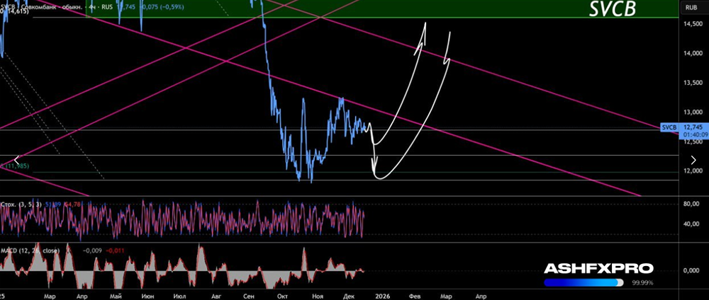 Когда ждать роста акций Совкомбанк?